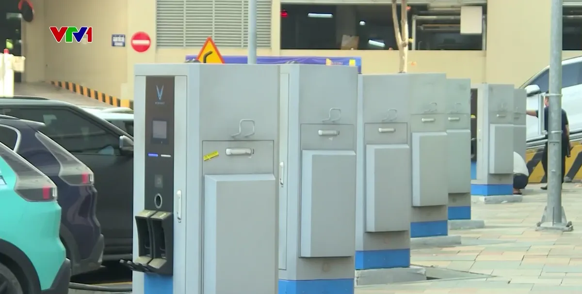 Hà Nội tổng rà soát ô tô, xe máy xăng dầu - Ảnh 1.