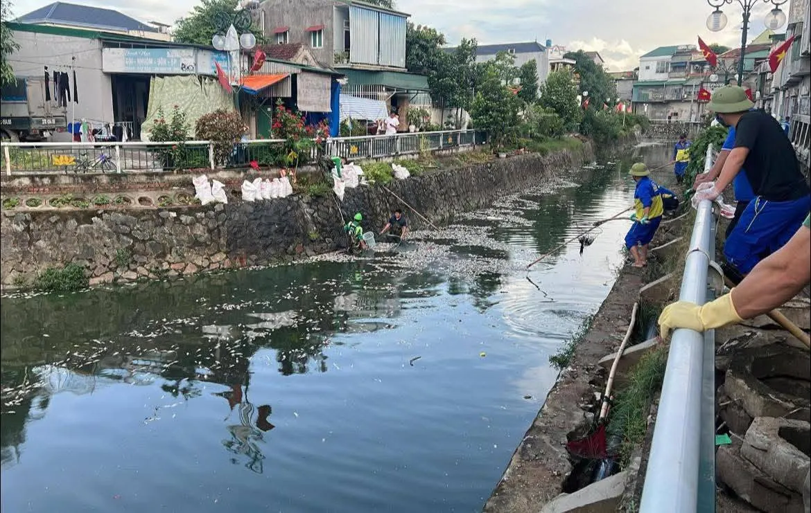 Nghệ An: Cá chết nổi trắng trên kênh hào thành cổ Vinh - Ảnh 1.