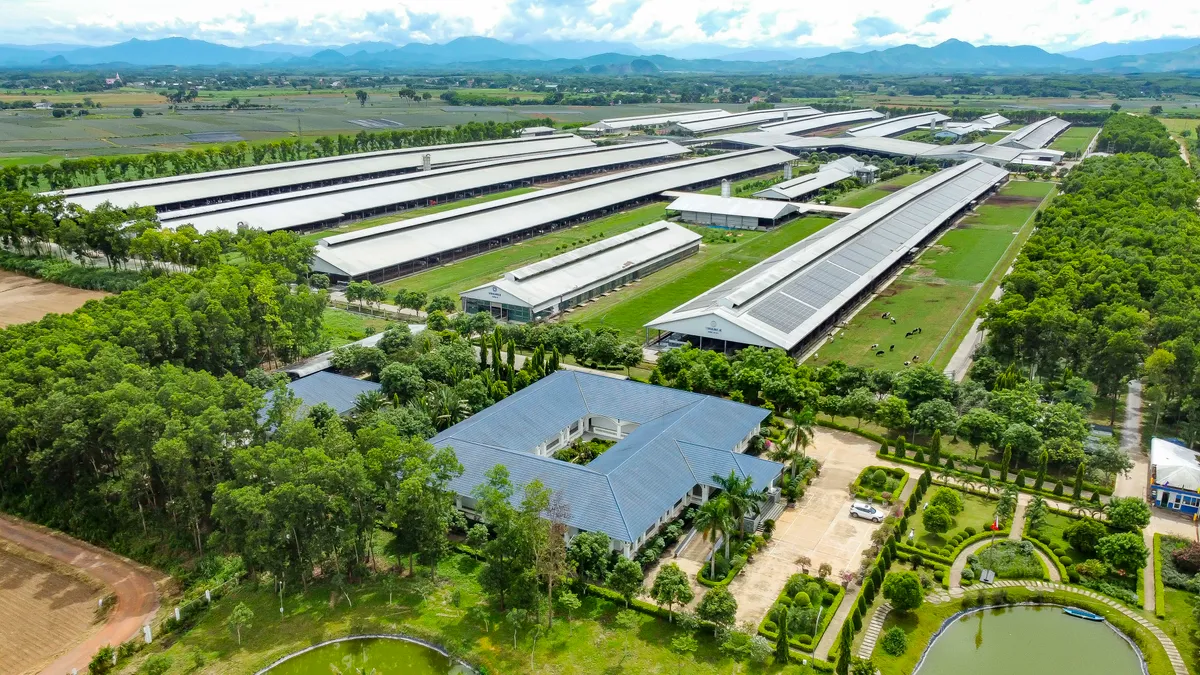 Lần đầu tiên, Vinamilk được xếp hạng sức mạnh thương hiệu xuất sắc, vượt trội toàn cầu. - Ảnh 3.