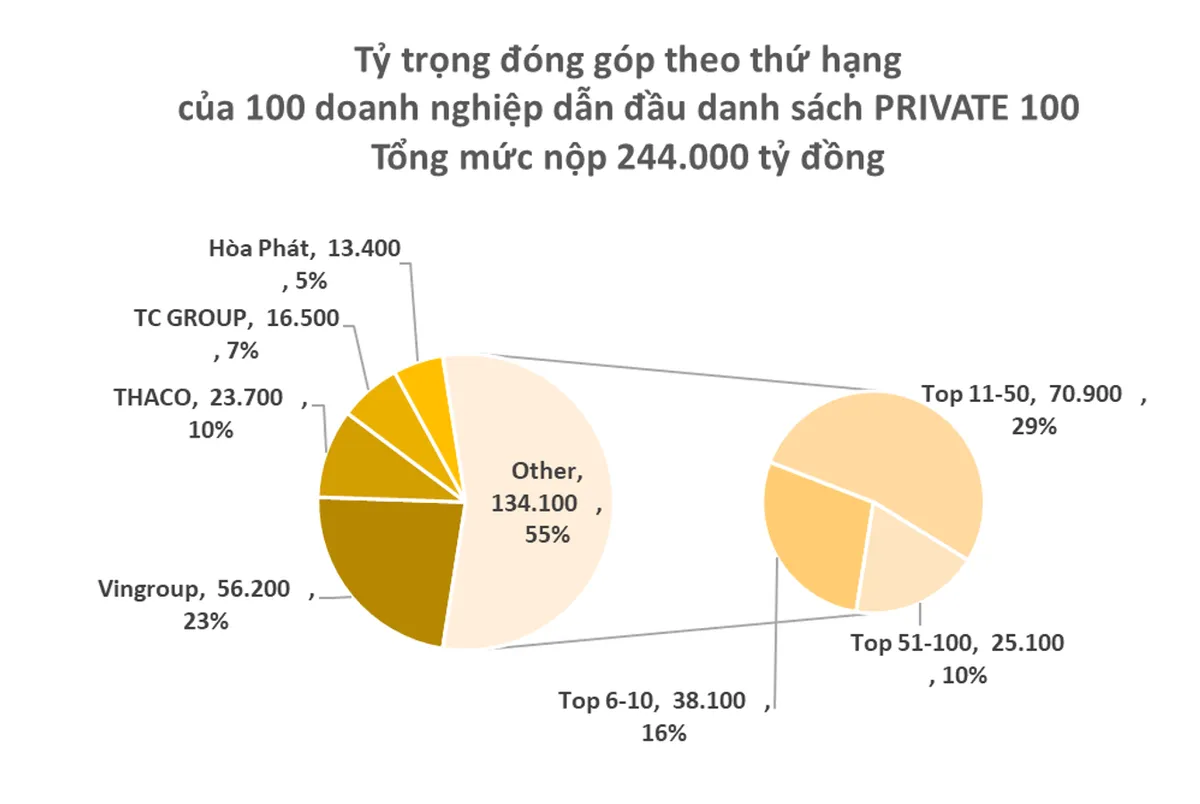 100 doanh nghiệp tư nhân hàng đầu nộp ngân sách hơn 244.000 tỷ đồng - Ảnh 1.