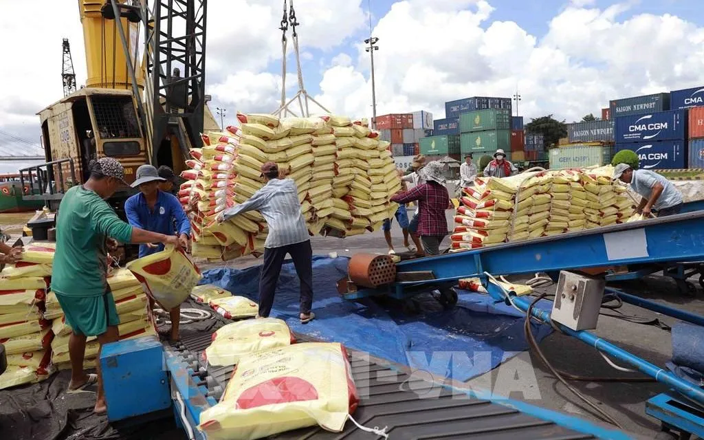 Giá gạo xuất khẩu của Việt Nam tăng