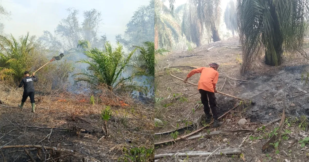 Ch&aacute;y giếng dầu ở Indonesia, 3 người thiệt mạng- Ảnh 1.