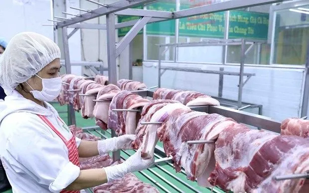 Giá thịt lợn giảm mạnh