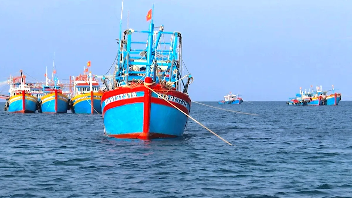 TP Hồ Chí Minh tuyên truyền ngư dân khai thác hải sản bền vững- Ảnh 2. TP Hồ Chí Minh tuyên truyền ngư dân khai thác hải sản bền vững- Ảnh 2.