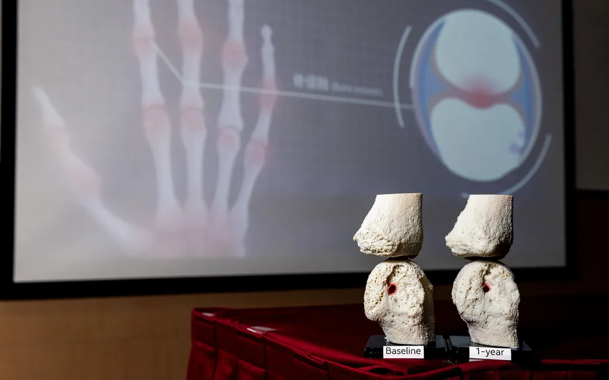 (Ảnh minh họa: CUHK)
