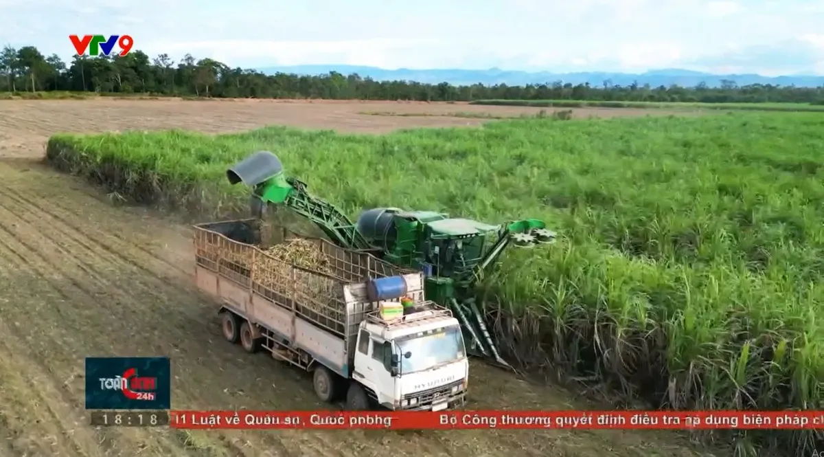 Năng lượng xanh từ bã mía