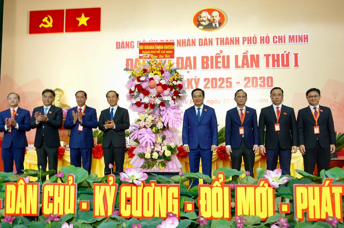 Đại hội Đảng bộ UBND TPHồ Chí Minh lần thứ I: Hướng tới đô thị văn minh, hiện đại - Ảnh 7.
