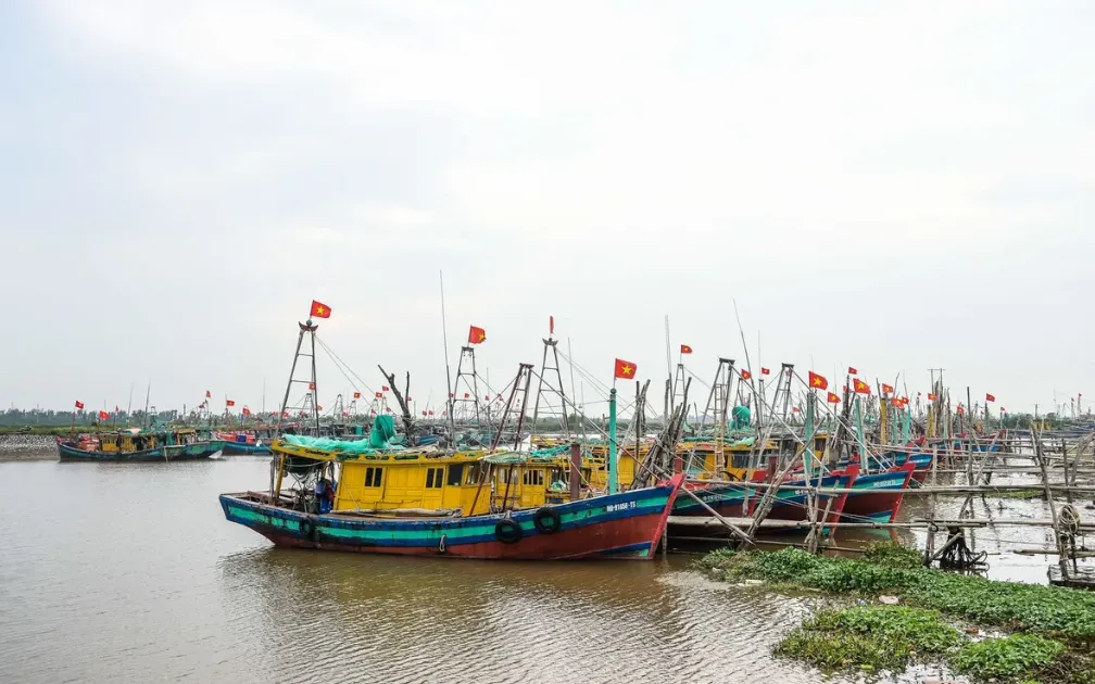 Các xã ven biển ở Ninh Bình phối hợp với Bộ đội Biên phòng nghiêm cấm không cho tàu, thuyền ra khơi từ 7h ngày 24/8.