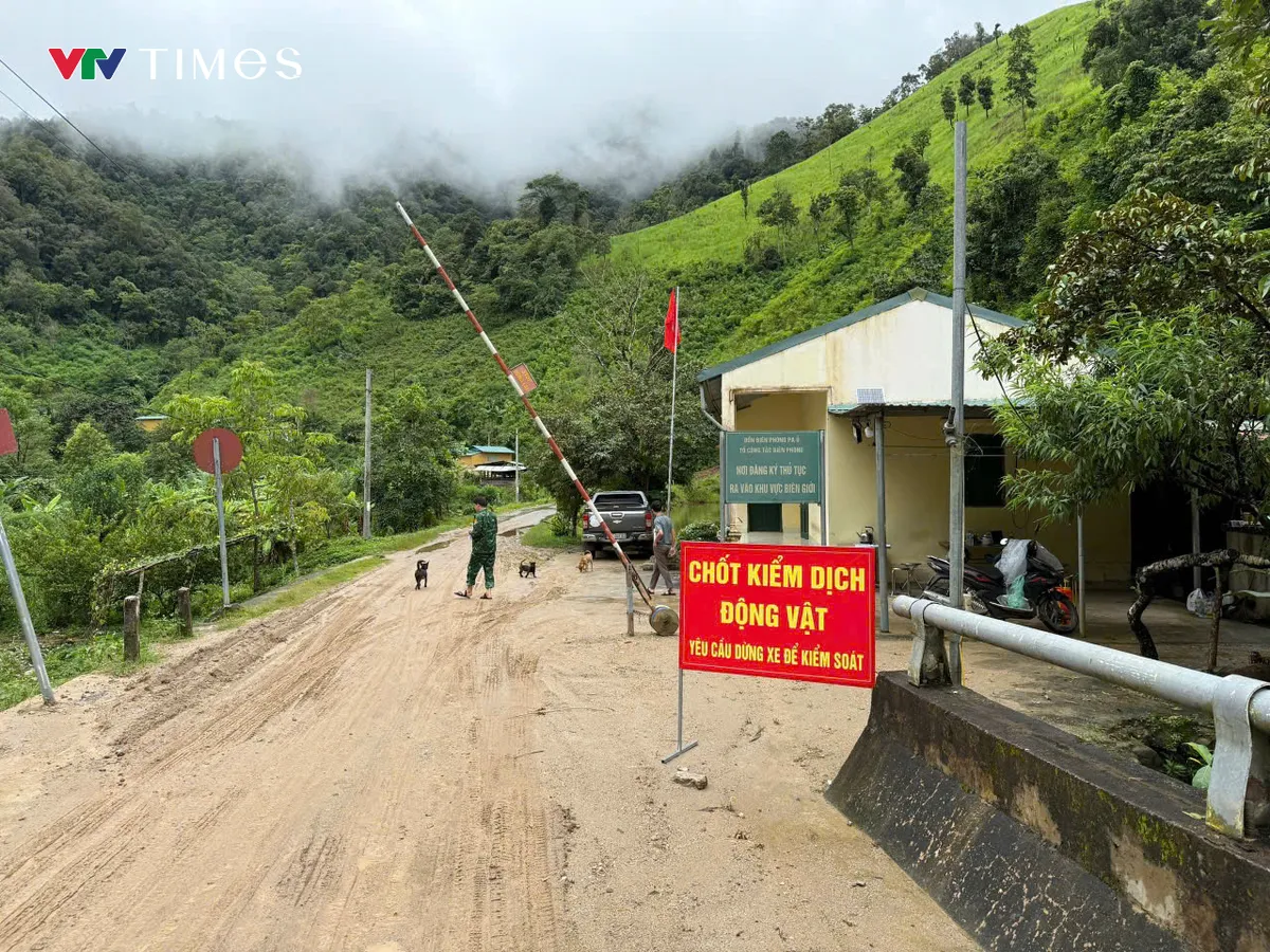 Lai Châu căng mình chống dịch tả lợn Châu Phi - Ảnh 5.