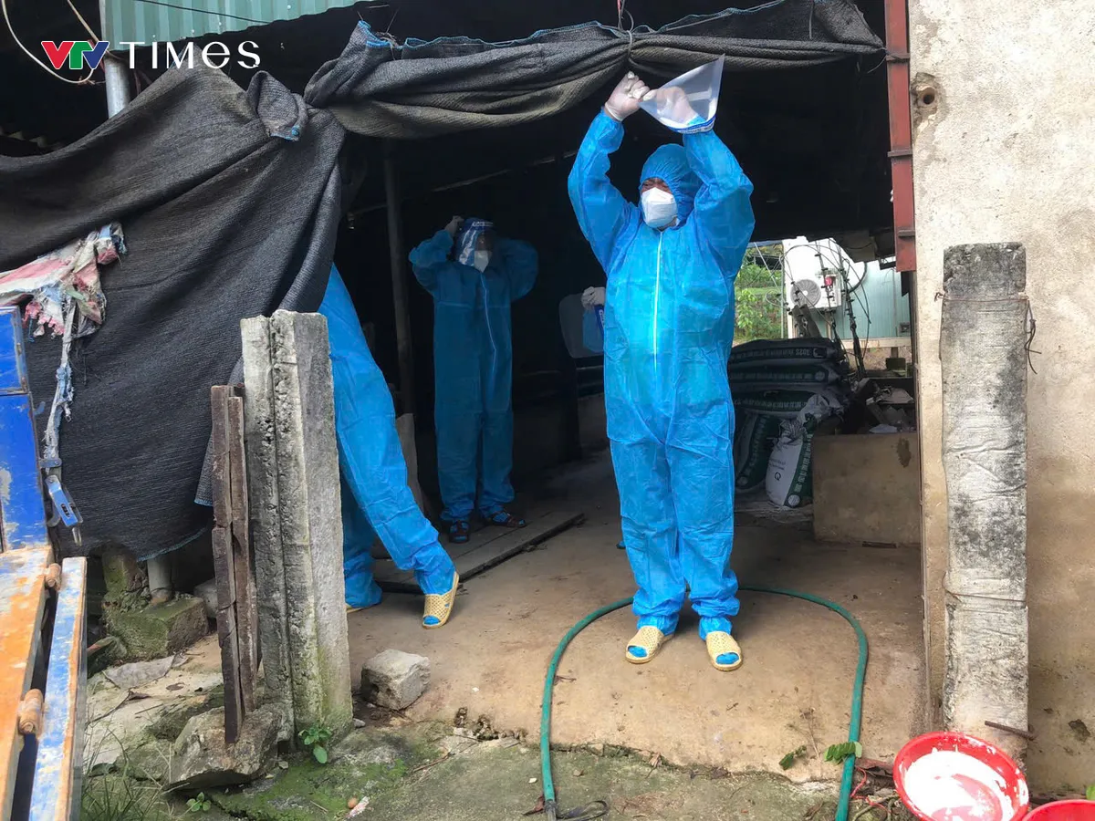 Lai Châu căng mình chống dịch tả lợn Châu Phi - Ảnh 1.