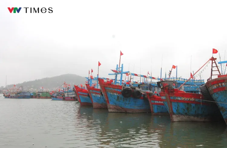 Thanh Hóa cấm biển để ứng phó với bão số 5 - Ảnh 2.