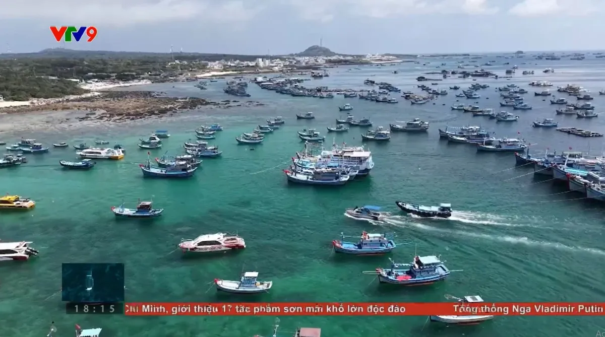 Ngăn chặn khai thác hải sản trái phép, gỡ thẻ vàng EC Ngăn chặn khai thác hải sản trái phép, gỡ thẻ vàng EC