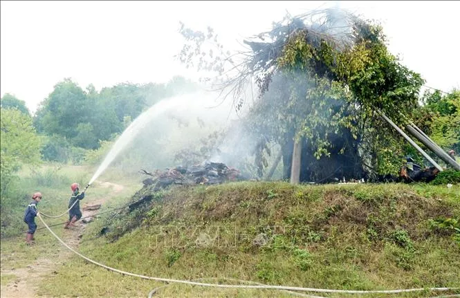 C&acirc;y đa hơn 200 năm tuổi ở Quảng Ng&atilde;i bị lửa thi&ecirc;u rụi - Ảnh 1.