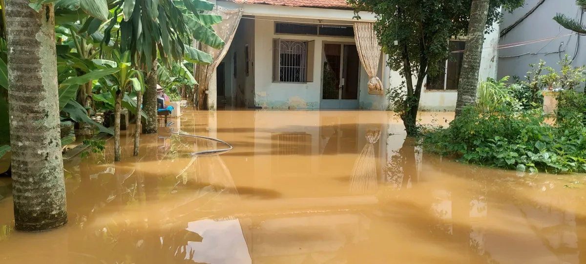 Đồng Nai: Hỗ trợ người dân bị ngập nước do mưa lớn ổn định cuộc sống- Ảnh 1.