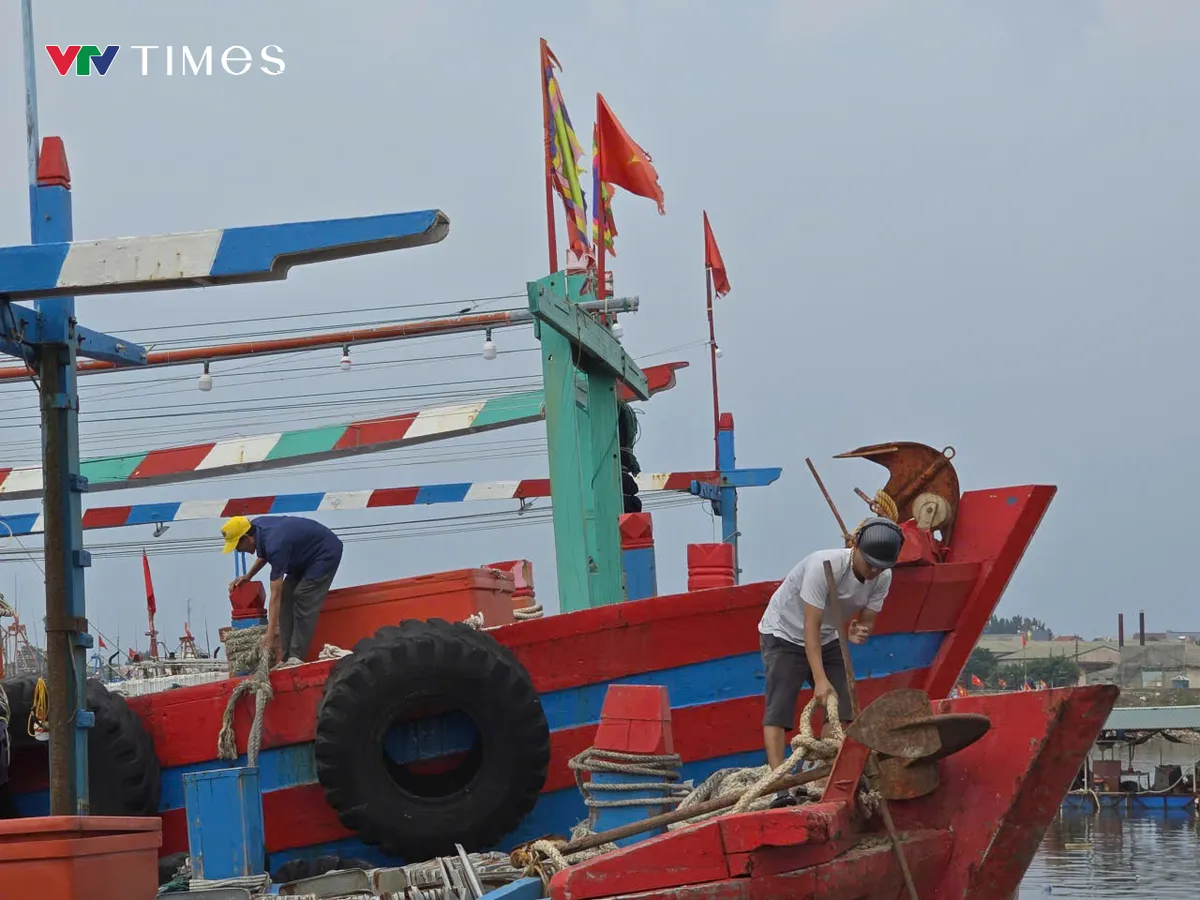 Thanh Hóa: Trên 90% tàu thuyền vào bờ tránh bão số 5 - Ảnh 3.