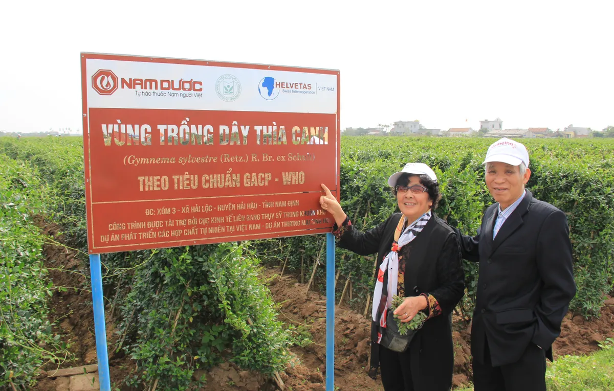 Diabetna: Hành trình 18 năm tận tâm vì sức khỏe người bệnh tiểu đường- Ảnh 2.
