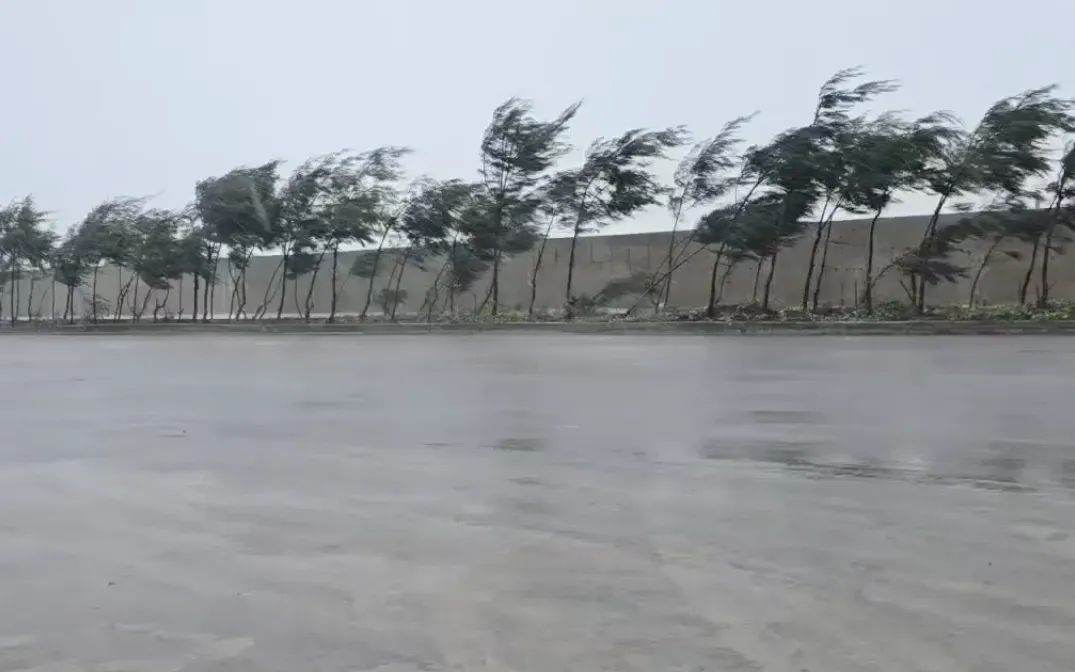 Mưa to gió lớn tại phường Cửa Lò, Nghệ An. Mưa to gió lớn tại phường Cửa Lò, Nghệ An.
