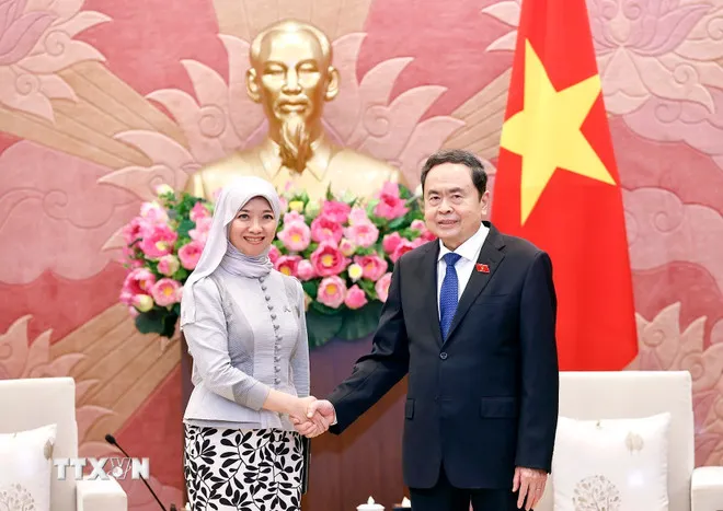 Việt Nam là thành viên tích cực, trách nhiệm trong AIPA - Ảnh 1.