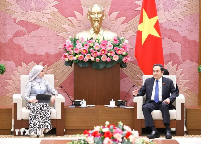 Việt Nam là thành viên tích cực, trách nhiệm trong AIPA - Ảnh 2.