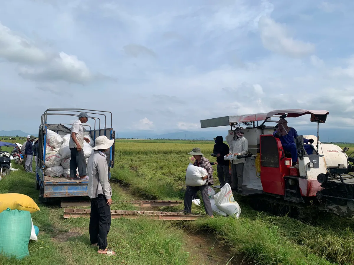 Huế chủ động ứng phó bão số 5, đảm bảo an toàn cho học sinh và người dân- Ảnh 1. Huế chủ động ứng phó bão số 5, đảm bảo an toàn cho học sinh và người dân- Ảnh 1.