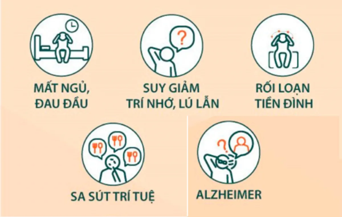 Herisin từ nấm hầu thủ - dược liệu quý cho chứng lú lẫn, suy giảm trí nhớ- Ảnh 3.
