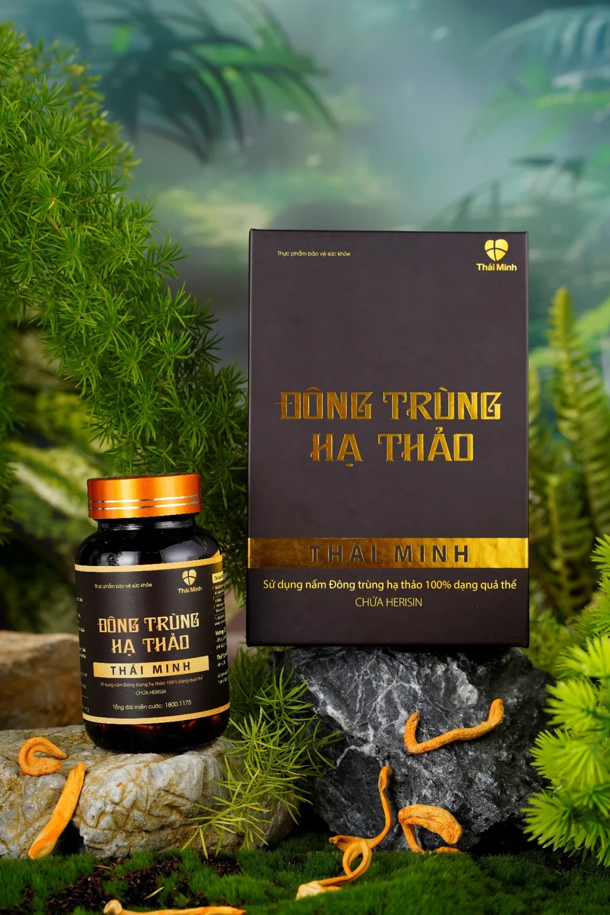 Herisin từ nấm hầu thủ - dược liệu quý cho chứng lú lẫn, suy giảm trí nhớ- Ảnh 4.