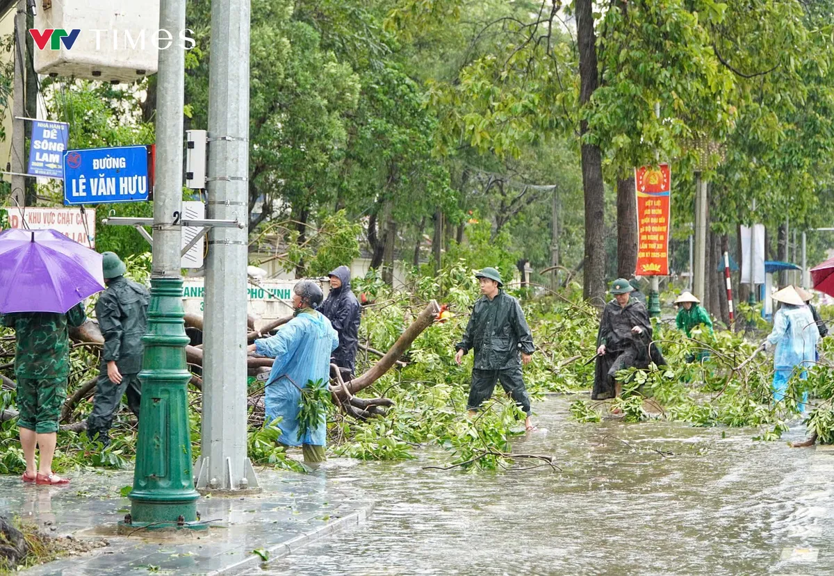 Nghệ An ngổn ngang sau bão số 5 - Ảnh 12.