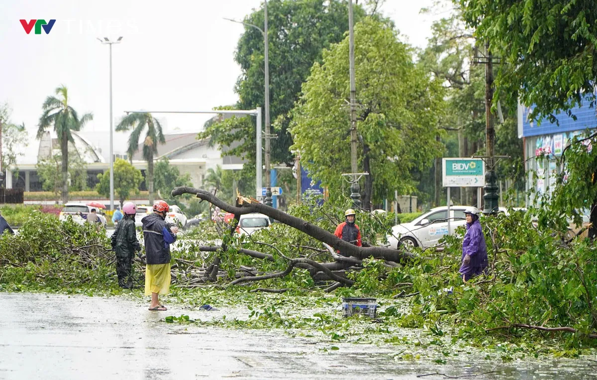 Nghệ An ngổn ngang sau bão số 5 - Ảnh 11.