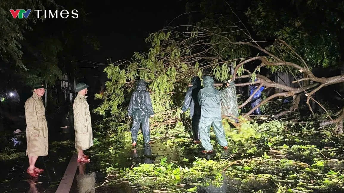 Nghệ An ngổn ngang sau bão số 5 - Ảnh 2.