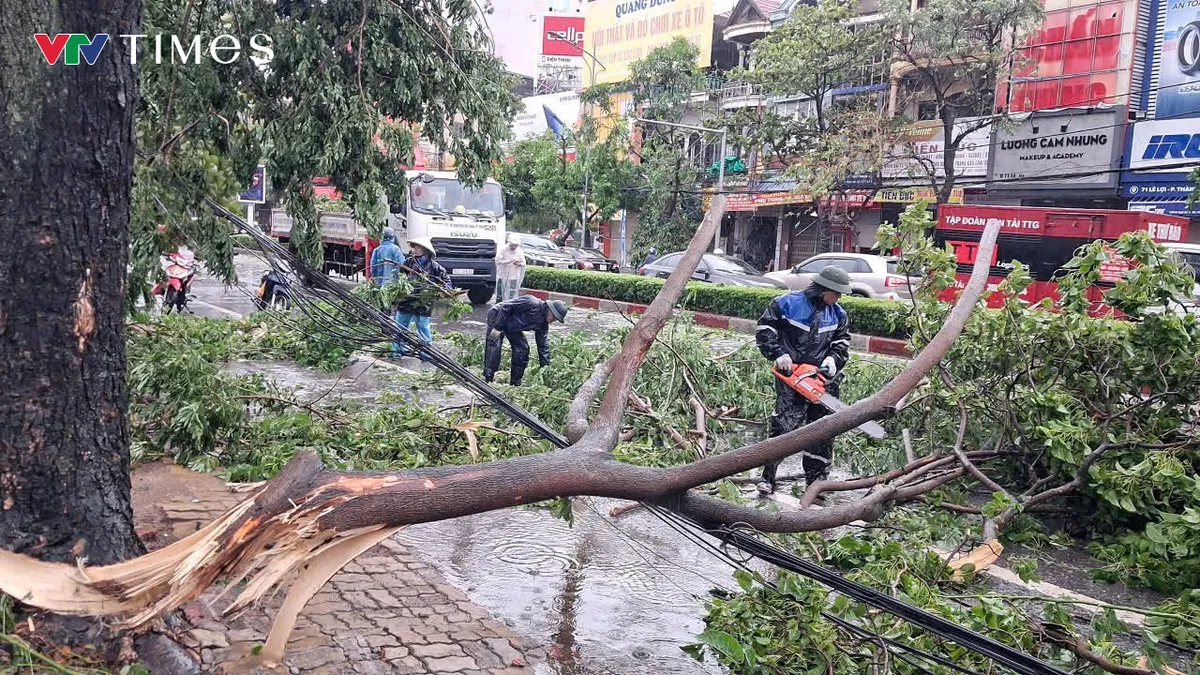 Nghệ An ngổn ngang sau bão số 5 - Ảnh 10.