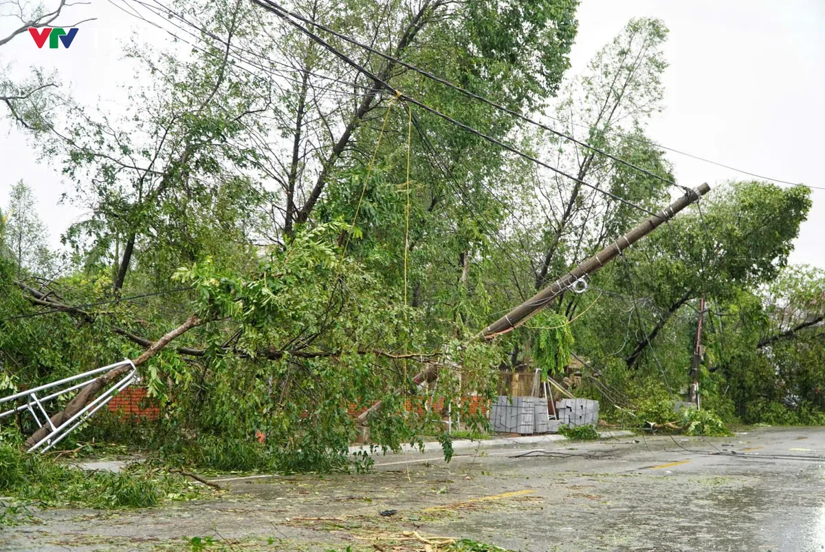 Nghệ An ngổn ngang sau bão số 5 - Ảnh 7.