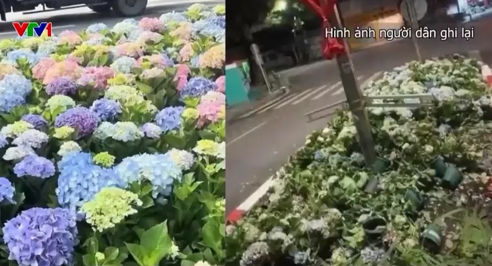 Chen lấn, xả rác, giẫm nát hoa: Những hình ảnh chưa đẹp sau buổi sơ duyệt diễu binh - Ảnh 4.