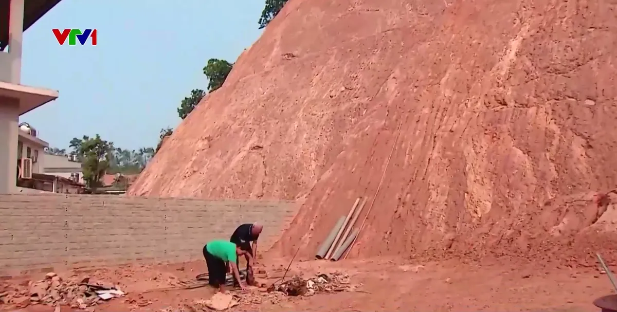 Phụ hồi bền vững sau b&atilde;o Yaji  - Ảnh 5.