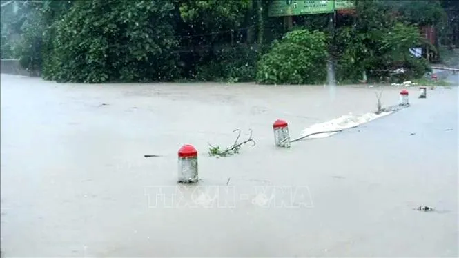 Huy động khẩn cấp 26 trạm bơm ti&ecirc;u &uacute;ng- Ảnh 1.