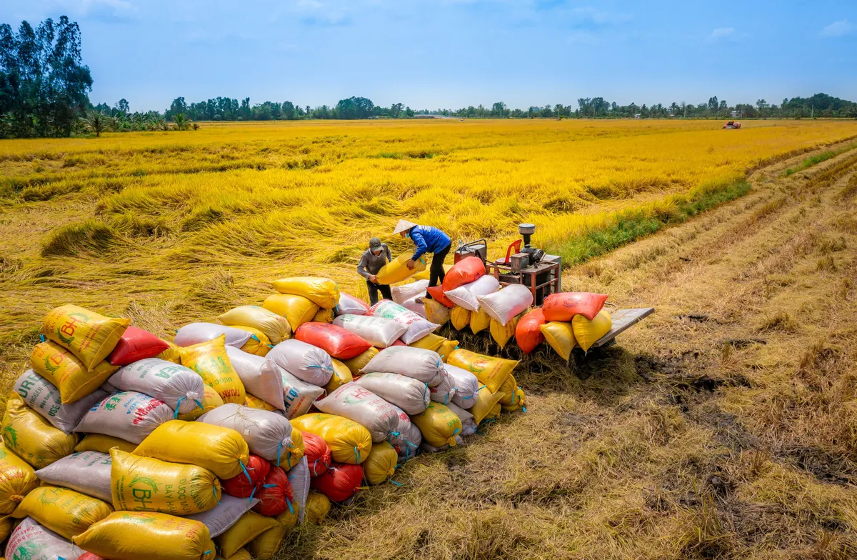 TS Nhị Lê: “Không có Nhân dân, không có phú cường” - Ảnh 11.
