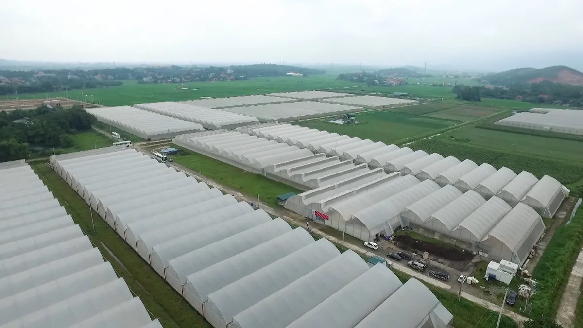 TS Nhị Lê: “Không có Nhân dân, không có phú cường” - Ảnh 7.