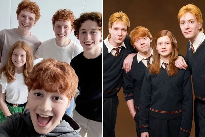 Đạo diễn phim Harry Potter từ chối tham gia phiên bản truyền hình - Ảnh 3.