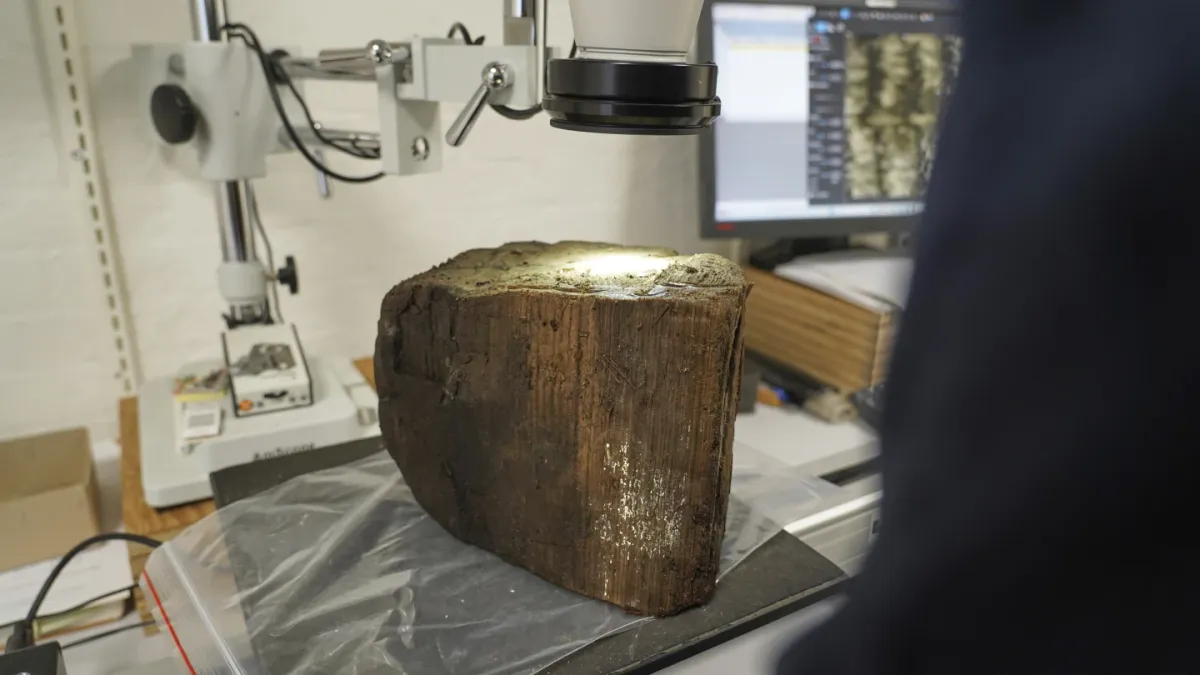 Khai quật khu định cư thời đồ đá bị nhấn chìm dưới biển ở Đan Mạch - Ảnh 1.