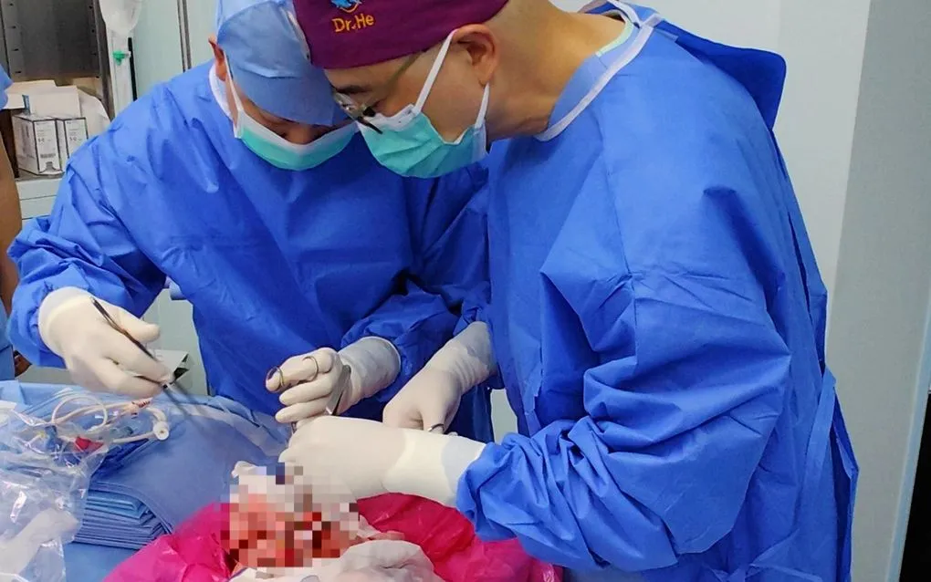 Các bác sĩ tại Trung Quốc vừa thực hiện thành công ca cấy ghép phổi từ lợn biến đổi gen vào một bệnh nhân chết não 39 tuổi (Ảnh: Nature Medicine) Các bác sĩ tại Trung Quốc vừa thực hiện thành công ca cấy ghép phổi từ lợn biến đổi gen vào một bệnh nhân chết não 39 tuổi (Ảnh: Nature Medicine)