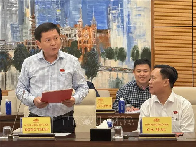 Phó Chủ tịch Quốc hội Lê Minh Hoan gặp mặt Đoàn đại biểu Quốc hội các khóa tỉnh Cà Mau và tỉnh Đồng Tháp - Ảnh 1.