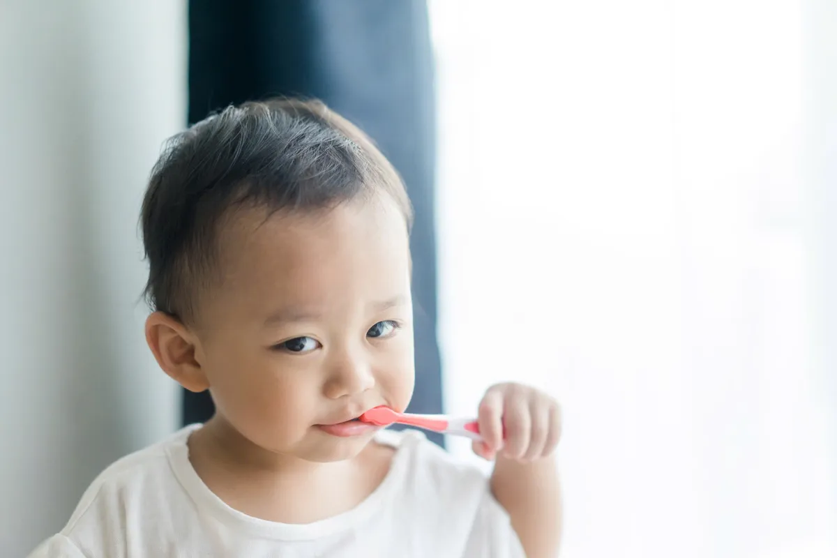 Chăm sóc răng miệng đúng cách cho bé theo từng độ tuổi - Ngăn ngừa sâu răng sớm cho trẻ- Ảnh 1. Chăm sóc răng miệng đúng cách cho bé theo từng độ tuổi - Ngăn ngừa sâu răng sớm cho trẻ- Ảnh 1.