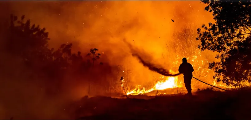 Cháy rừng kỷ lục tại châu Âu: Hơn 1 triệu ha bị thiêu rụi - Ảnh 1.