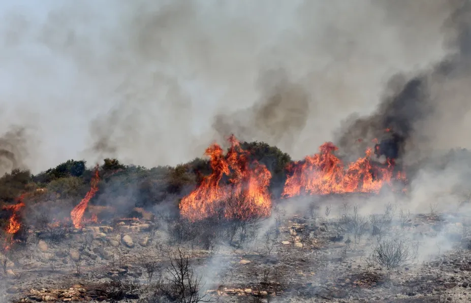 Cháy rừng kỷ lục tại châu Âu: Hơn 1 triệu ha bị thiêu rụi - Ảnh 2.