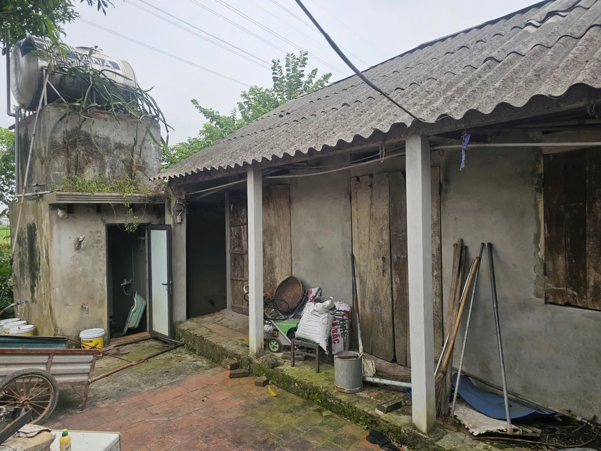 Trái tim nhỏ bé cần một phép màu- Ảnh 2. Trái tim nhỏ bé cần một phép màu- Ảnh 2.