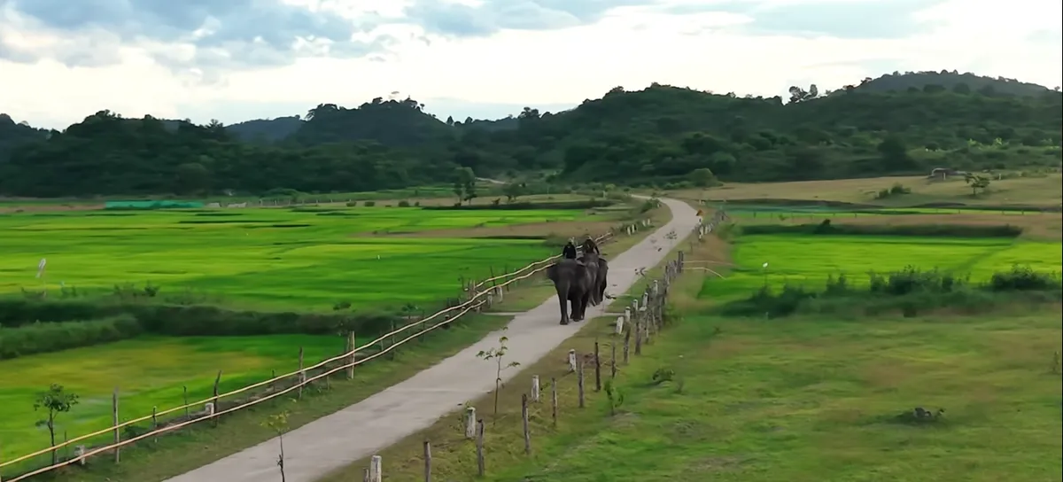 Gia đình Haha - Tập 12: Khám phá "kho báu" văn hóa đặc sắc nơi đại ngàn  - Ảnh 5.