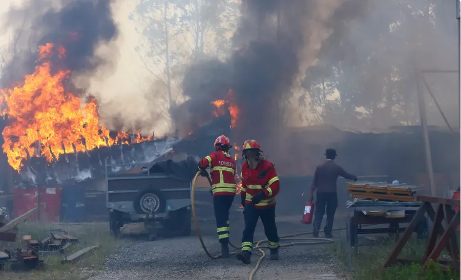 Cậu bé 14 tuổi thú nhận cố tình gây ra nhiều vụ cháy rừng ở Bồ Đào Nha - Ảnh 1.