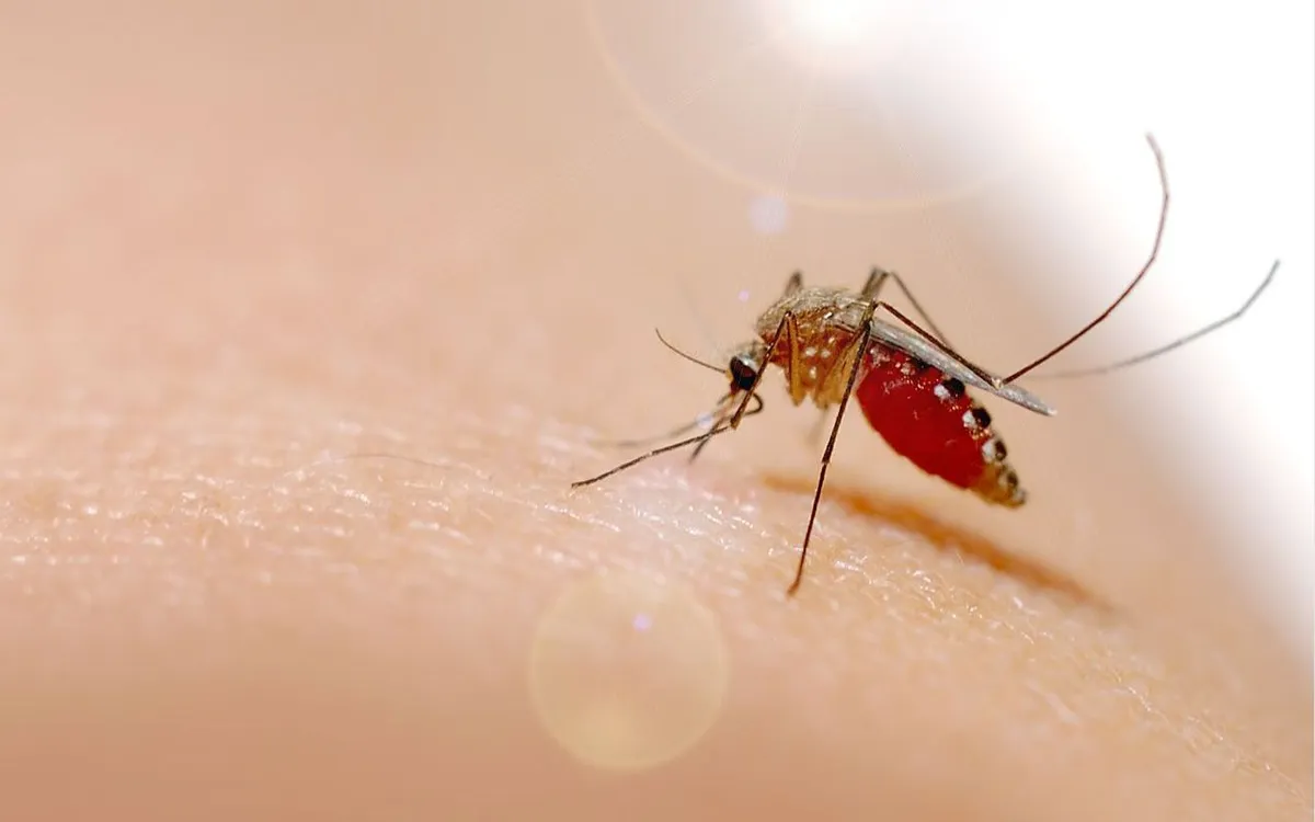 Ảnh minh họa: Getty Images