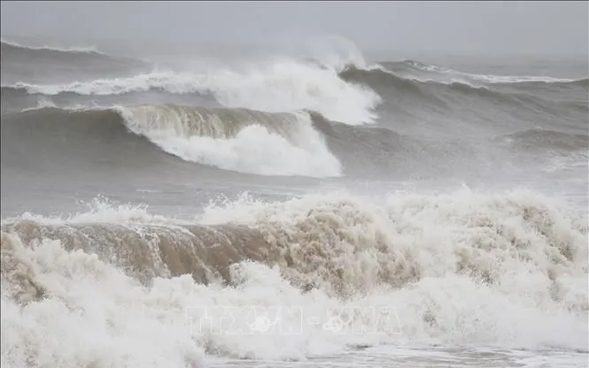 Ảnh minh họa: TTXVN