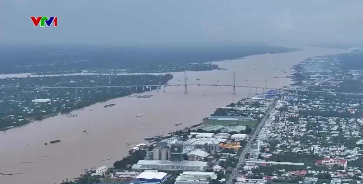 Cầu Rạch Miễu 2 giúp người dân đi lại thuận tiện dịp lễ - Ảnh 1.