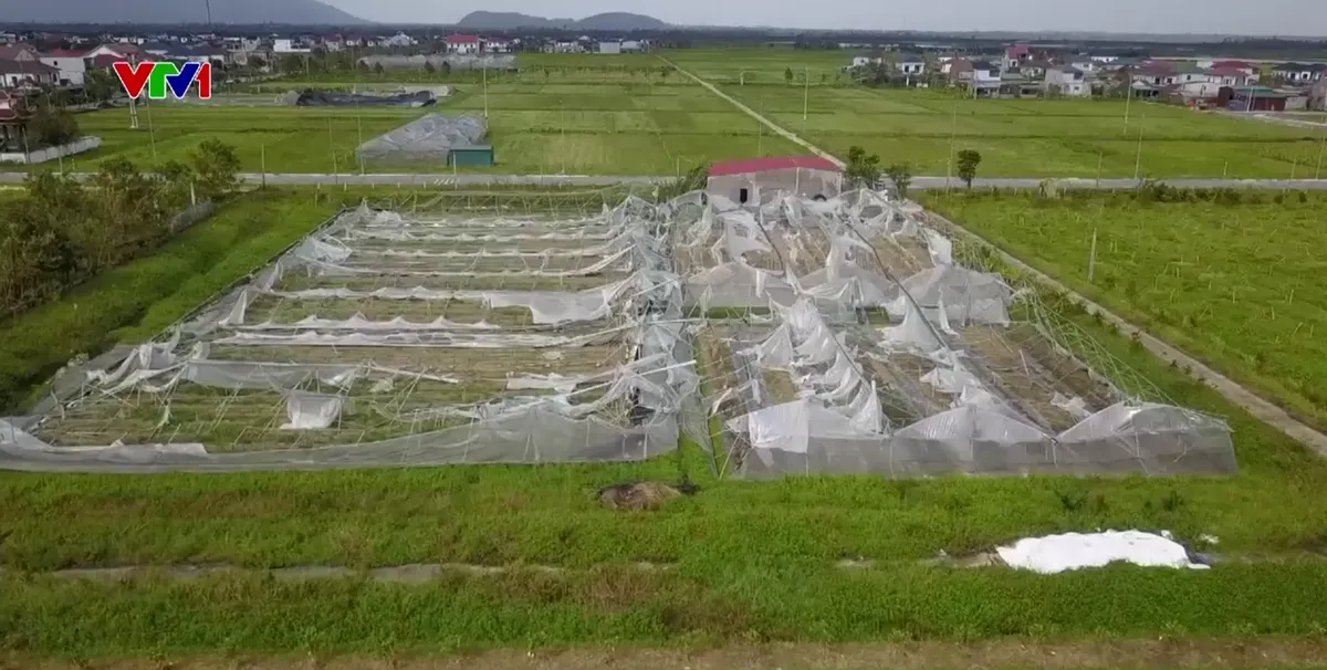 Khắc phục hậu quả b&atilde;o lụt tại Thanh H&oacute;a - Ảnh 4.